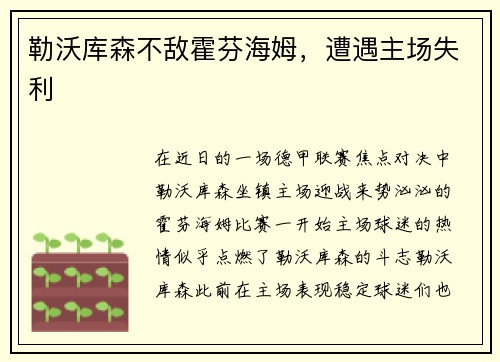 勒沃库森不敌霍芬海姆，遭遇主场失利