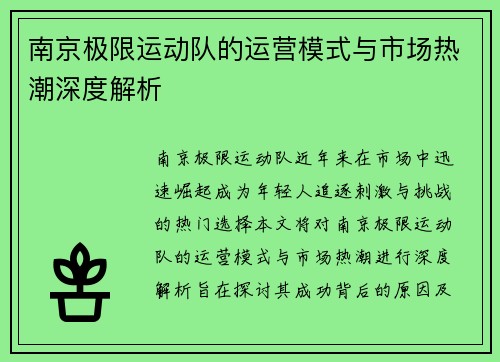南京极限运动队的运营模式与市场热潮深度解析